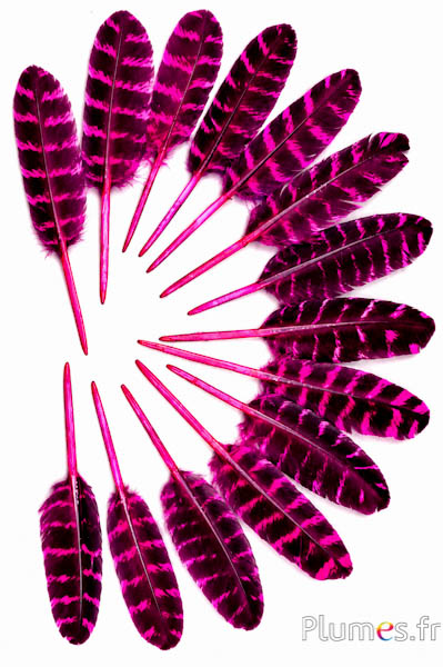 Kalkoen - 10-15 cm - fuchsia